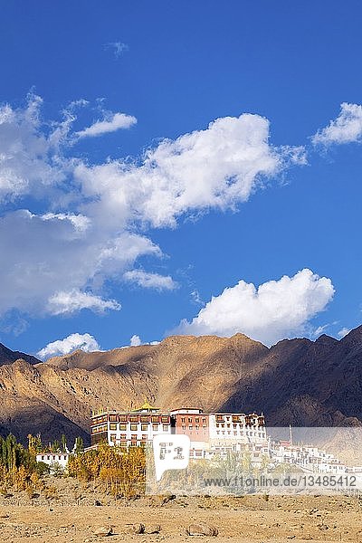 Phyang Monastery  Phyang (or Phiyang) Gompa  Ladakh  India  Asia