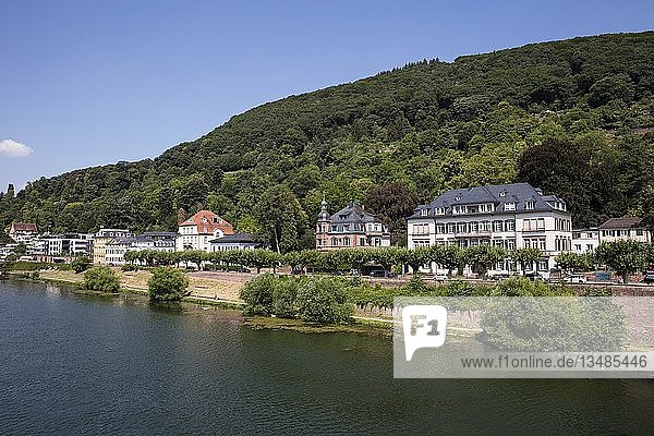 Wohnhäuser am Ufer des Neckar Heidelberg Baden-Württemberg Deutschland Europa