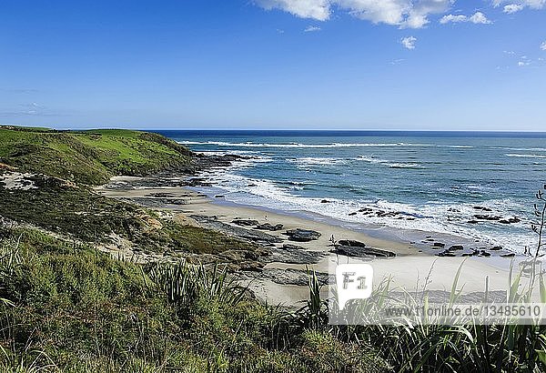 Küstenlinie im Arai-Te-Uru Recreation Reserve  Hafen von Hokianga  Northland Westküste  Nordinsel  Neuseeland  Ozeanien