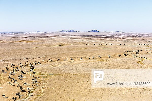 Luftaufnahme  trockenes Flussbett  Namib-Wüste  Namib-Naukluft-Nationalpark  Namibia  Afrika