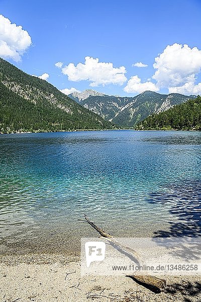 Treibholz am Ufer  Plansee  türkisfarbenes Wasser  Bergsee  Berglandschaft  Tiroler Alpen  Reutte  Tirol  Österreich  Europa