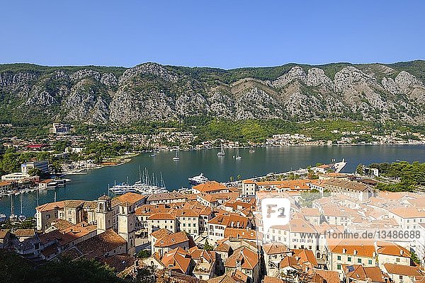 Altstadt von Kotor  Bucht von Kotor  Montenegro  Europa