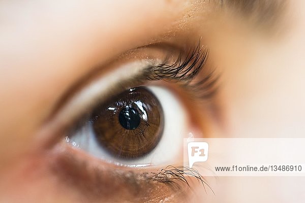 Closeup of woman's brown eyes  Germany  Europe