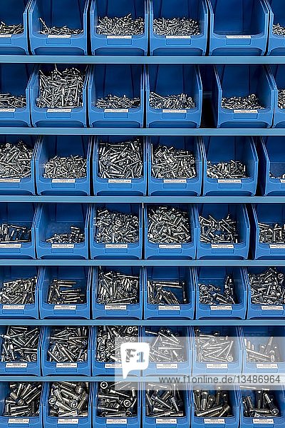 Cylinder screws  screws sorted in a shelf in a workshop  Bavaria  Germany  Europe