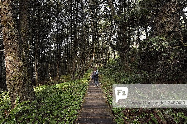 Tourist on her way through rainforest  Pacific Rim National Park  Vancouver Island  British Columbia  Canada  North America