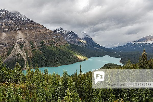 Wolken hängen in Bergspitzen  türkisfarbener Gletschersee umgeben von Wald  Peyto Lake  Rocky Mountains  Banff National Park  Provinz Alberta  Kanada  Nordamerika