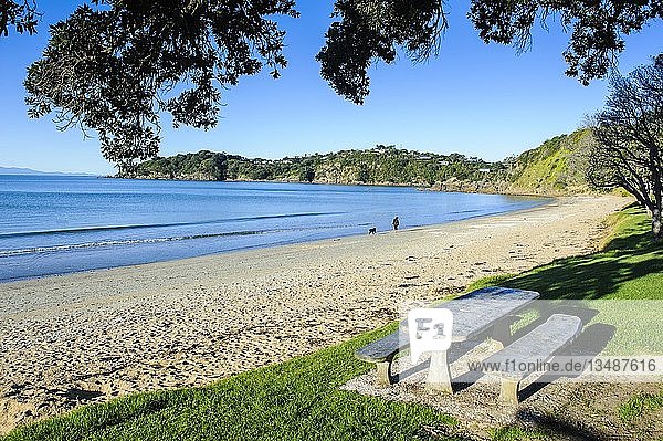 Picknick-Tisch am Oneroa Beach Waiheke Island Nordinsel Neuseeland Ozeanien