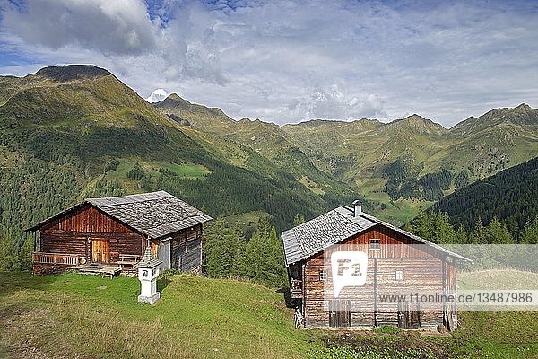 Karmelisenalm mit Gedenksäule an den Ersten Weltkrieg  Villgratental  Osttirol  Österreich  Europa