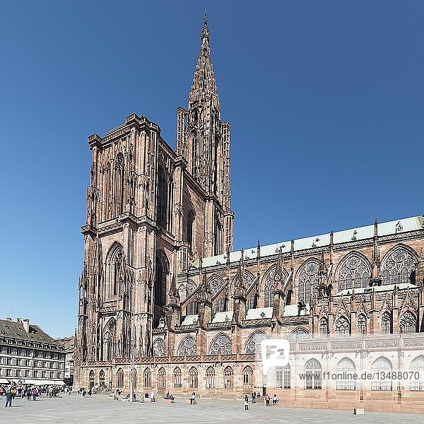 Place de la Cathedrale und Münster Notre Dame  UNESCO-Weltkulturerbe  Straßburg  Elsass  Frankreich  Europa