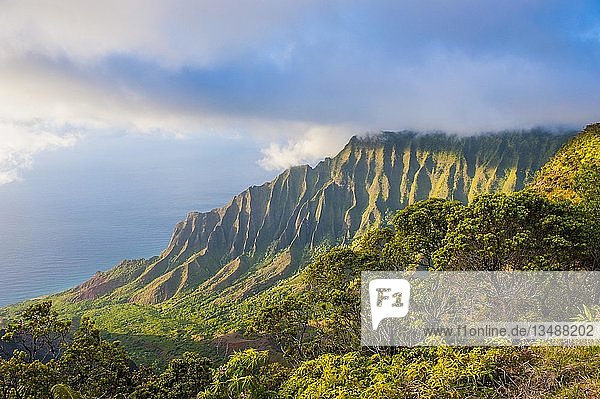 N? Pali Küste mit grünen Bergen vom Kalalau-Aussichtspunkt aus gesehen N? Pali Coast State Park Kauai Hawaii USA Nordamerika