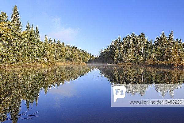 Wasserspiegelung im See  Lac Lajoie  Mont Tremblant National Park  Provinz Quebec  Kanada  Nordamerika