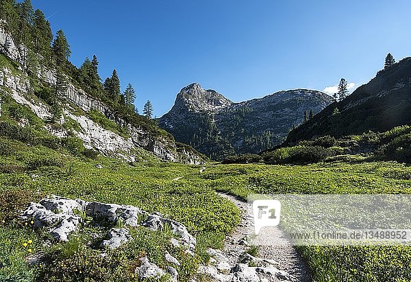 Hiking trail to Kärlingerhaus  behind Viehkogel summit  Berchtesgaden National Park  Berchtesgadener Land  Upper Bavaria  Bavaria  Germany  Europe