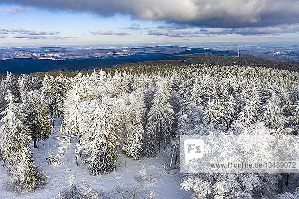 Drohnenaufnahme  schneebedeckte Bäume von oben im Winter  Taunus  Hessen  Deutschland  Europa