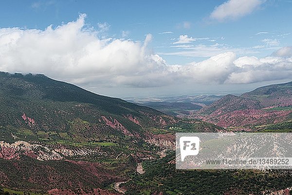 Grüne Berglandschaft nördlich des Atlasgebirges  Marokko  Afrika