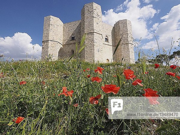Schloss Castel del Monte  Stauferkaiser Friedrich II  UNESCO-Weltkulturerbe  Provinz Barletta-Andria-Trani  Apulien  Italien  Europa