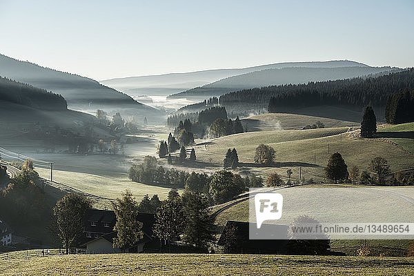 Morgennebel im Herbst  Jostal  Schwarzwald  Baden-WÃ¼rttemberg  Deutschland  Europa