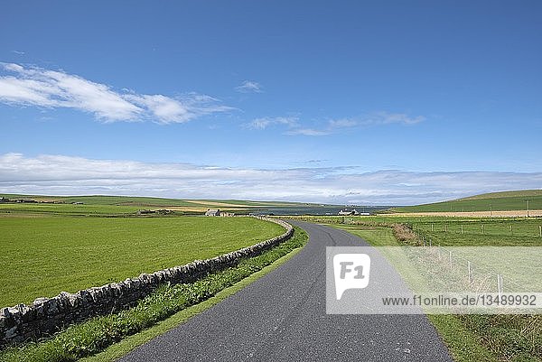 Einspurige Straße und Weiden  Orkney Inseln  Schottland  Vereinigtes Königreich  Europa
