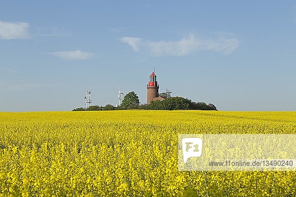 Leuchtturm Buk mit blühendem Rapsfeld  Bastorf  Mecklenburg Vorpommern  Deutschland  Europa