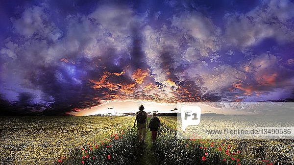 Woman and child walking on a path flanked by poppy flowers through the middle of a corn field  sunset with a cloudy sky  Adelschlag  Bavaria  Germany  Europe