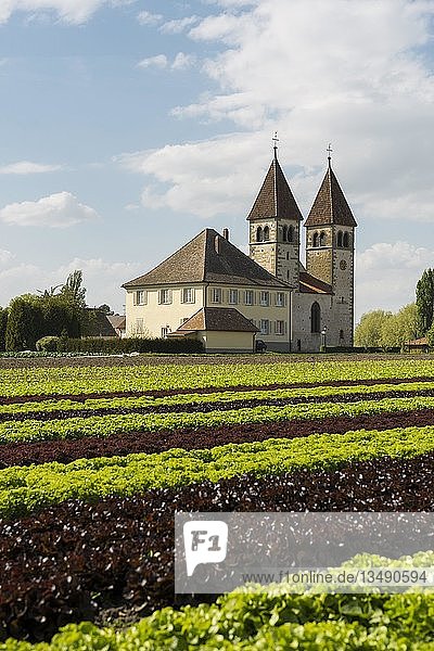 Kirche St. Peter und Paul  Salatanbau  Insel Reichenau  Bodensee  Baden-Württemberg  Deutschland  Europa