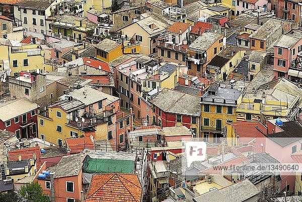 Blick auf die Dächer von Monterosso  Ligurien  Italien  Europa
