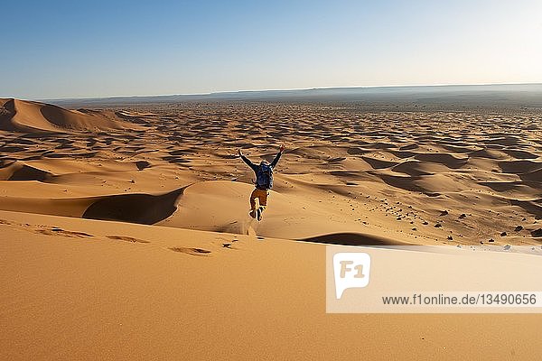 Young man walking down a sand dune  dune landscape Erg Chebbi  Merzouga  Sahara  Morocco  Africa