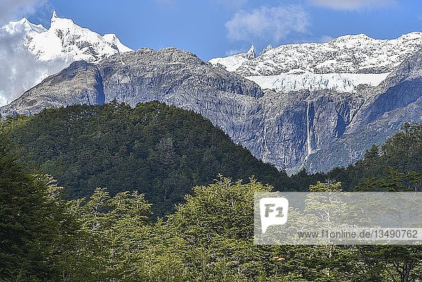 San Rafael Gletscher auf dem Monte San Valentin  Regenwald  Carretera austral  Valle Exploradores  San Rafael National Park  Región de Aysén  Patagonien  Chile  Südamerika