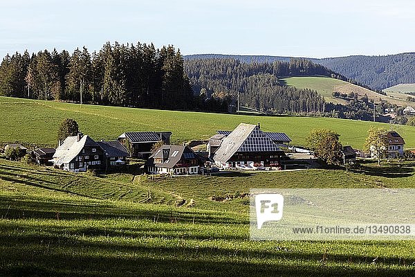 Oberfallengrundhof  Schwarzwaldhaus mit Solarkollektoren bei Gütenbach  Schwarzwald  Baden-Württemberg  Deutschland  Europa