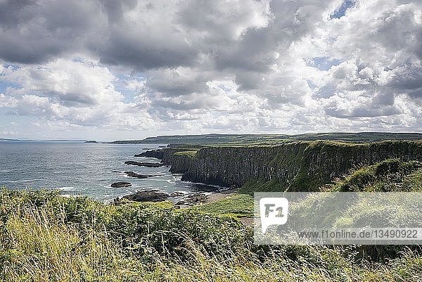 Cliffs on Causeway Coast  Grafschaft Antrim  Nordirland  Vereinigtes Königreich  Europa