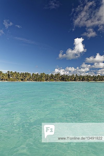 Traumstrand  Sandstrand mit Palmen und türkisfarbenem Meer  bewölkter Himmel  Parque Nacional del Este  Insel Saona Island  Karibik  Dominikanische Republik  Mittelamerika