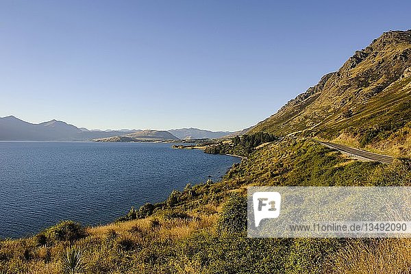 The shores of lake Wakatipu  Queenstown  South Island  New Zealand  Oceania