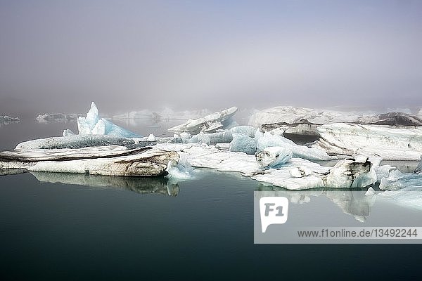 Eisberge im Morgenlicht  Gletscherlagune JÃ¶kulsÃ¡rlÃ³n  JÃ¶kulsarlon  Gletschersee  SÃ?drand des VatnajÃ¶kull  HornafjÃ¶rÃ°ur  HornafjÃ¶rdur  SÃ?dost Island  Island  Europa