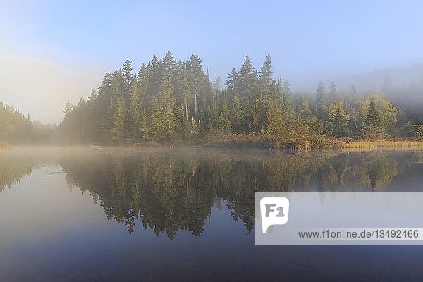 Morgennebel  Wasserspiegelung im See  Lac Lajoie  Mont Tremblant National Park  Provinz Quebec  Kanada  Nordamerika