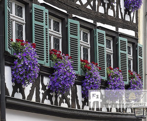 Blumengesteck am Fenster eines historischen Fachwerkhauses  Bamberg  Oberfranken  Bayern  Deutschland  Europa