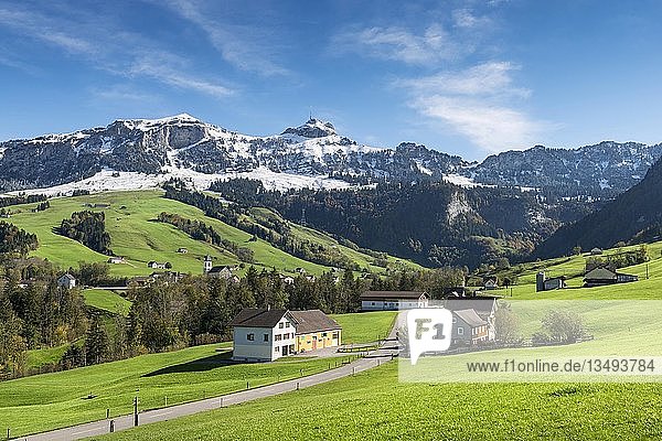 Grüne Weiden im Appenzellerland vor der Kulisse der schneebedeckten Appenzeller Alpen  Kanton Appenzell-Innerrhoden  Schweiz  Europa
