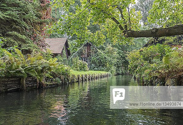 Seitenarm der Spree mit kleinen Häuschen Lübbenau Spreewald Brandenburg Deutschland Europa