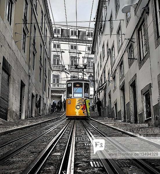 Schienen mit Seilbahn Elevador da Bica  Rua da Bica de Duarte Belcio  Lissabon  Portugal  Europa