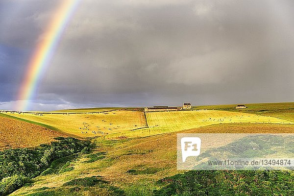 Agrarlandschaft mit Regenbogen  Pennan  Aberdeenshire  Schottland  Großbritannien