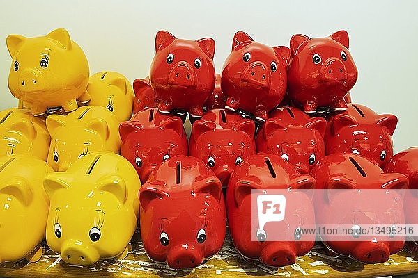 Rote und gelbe Sparschweine in einem Kaufhaus  München  Oberbayern  Bayern  Deutschland  Europa