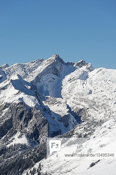 Schneebedeckter Säntisberg  2501m  von Südosten gesehen  Kanton Appenzell Innerrhoden  Schweiz  Europa