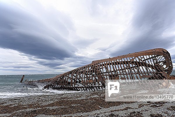 Wrack der Ambassador San Gregorio bei Punta Arenas Magellan Straße Patagonien Chile Südamerika