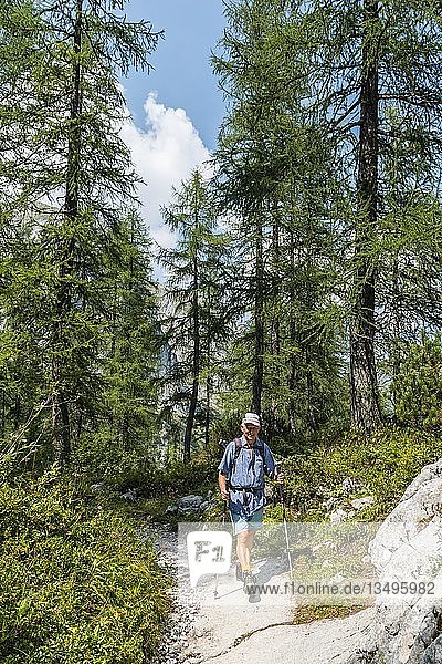 Hikers  hiking trail to the KÃ¤rlingerhaus  Berchtesgaden National Park  Berchtesgadener Land  Upper Bavaria  Bavaria  Germany  Europe