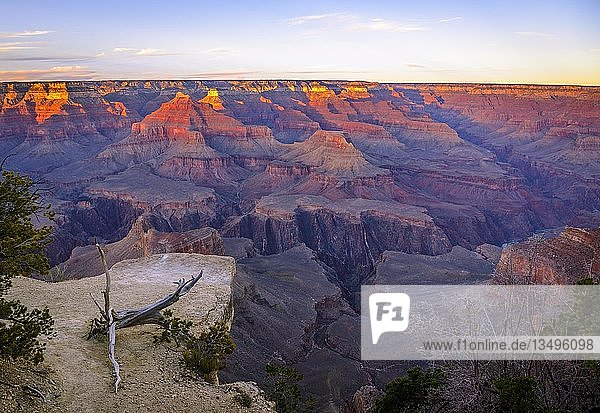 Schlucht des Grand Canyon bei Sonnenuntergang  Colorado River  Blick vom Hopi Point  erodierte Felslandschaft  South Rim  Grand Canyon National Park  bei Tusayan  Arizona  USA  Nordamerika