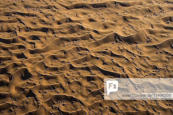 Luftaufnahme  Sanddünen in der Namib-Wüste  Namibia  Afrika