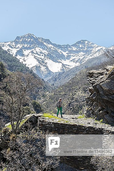 Hiker on a hiking trail  behind Sierra Nevada  snowy mountains at Granada  Andalucia  Spain  Europe