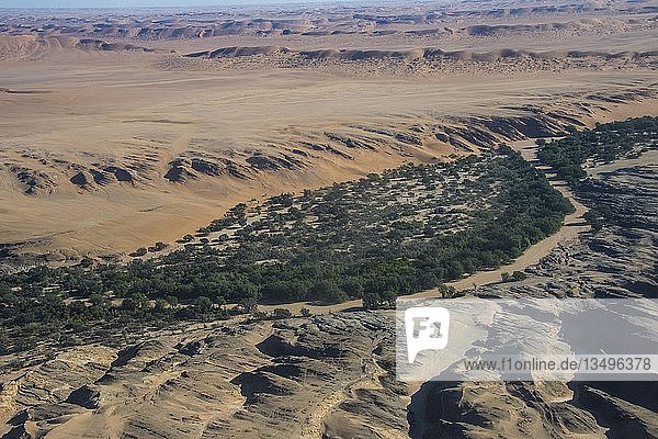 Luftaufnahme eines grünen Canyons am Rande der Namib-Wüste  Namibia  Afrika