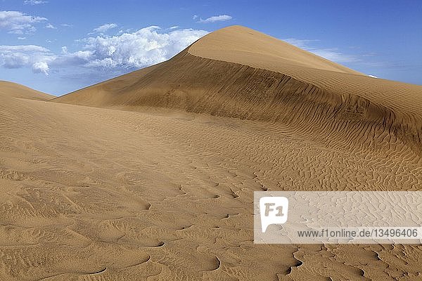 Dune landscape  dunes of Maspalomas  Dunas de Maspalomas  structures in the sand  nature reserve  Gran Canaria  Canary Islands  Spain  Europe