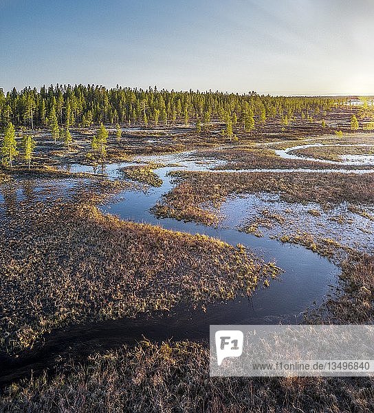 Drohnenaufnahme  Feuchtgebiet mit Mäander und Kiefern (Pinus)  Inari-See  Inari  Lappland  Finnland  Europa