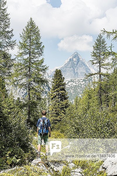 Hiker looks into the landscape  hiking trail to the KÃ¤rlingerhaus  behind Watzmann  National Park Berchtesgaden  Berchtesgadener Land  Upper Bavaria  Bavaria  Germany  Europe
