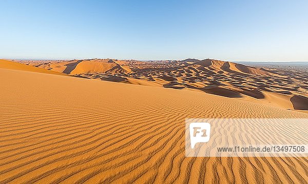 Rote Sanddünen in der Wüste  Dünenlandschaft Erg Chebbi  Merzouga  Sahara  Marokko  Afrika